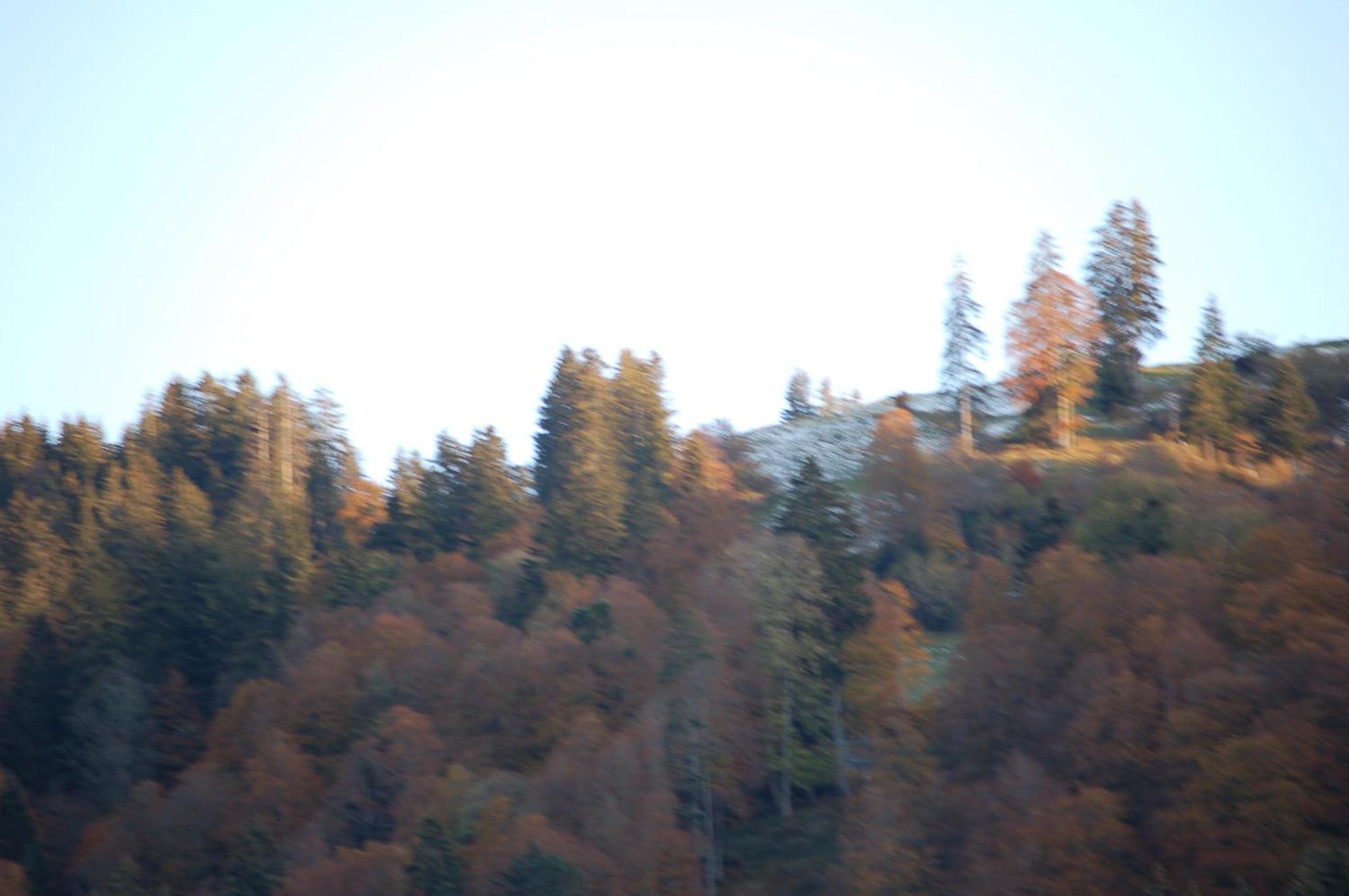 Gasthaus Schaefli Alt St. Johann Eksteriør bilde
